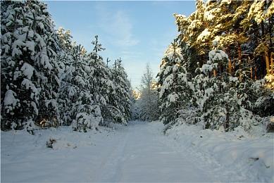 TGA 2022：《艾尔登法环》获得最佳游戏指导奖